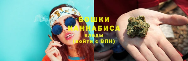 сатива Снежинск