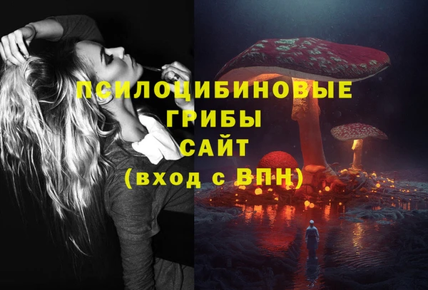 эйфоретик Армянск