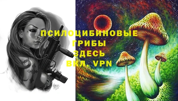 Альфа ПВП Арсеньев