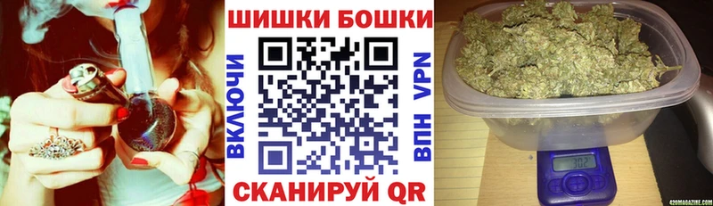 Конопля сатива  Калязин 